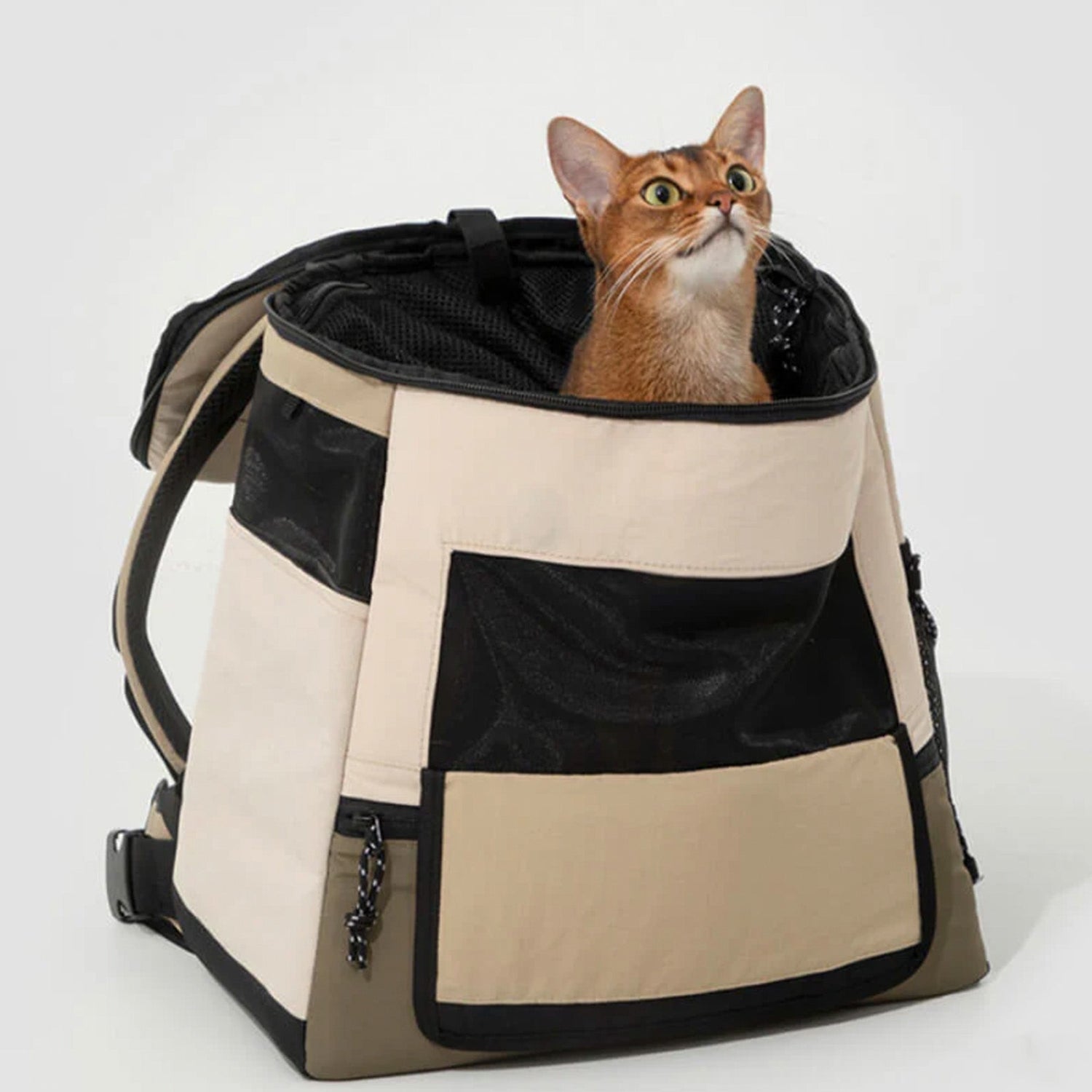 Waterproof Pet Travel Backpack – Breathable, Secure, and Comfortable