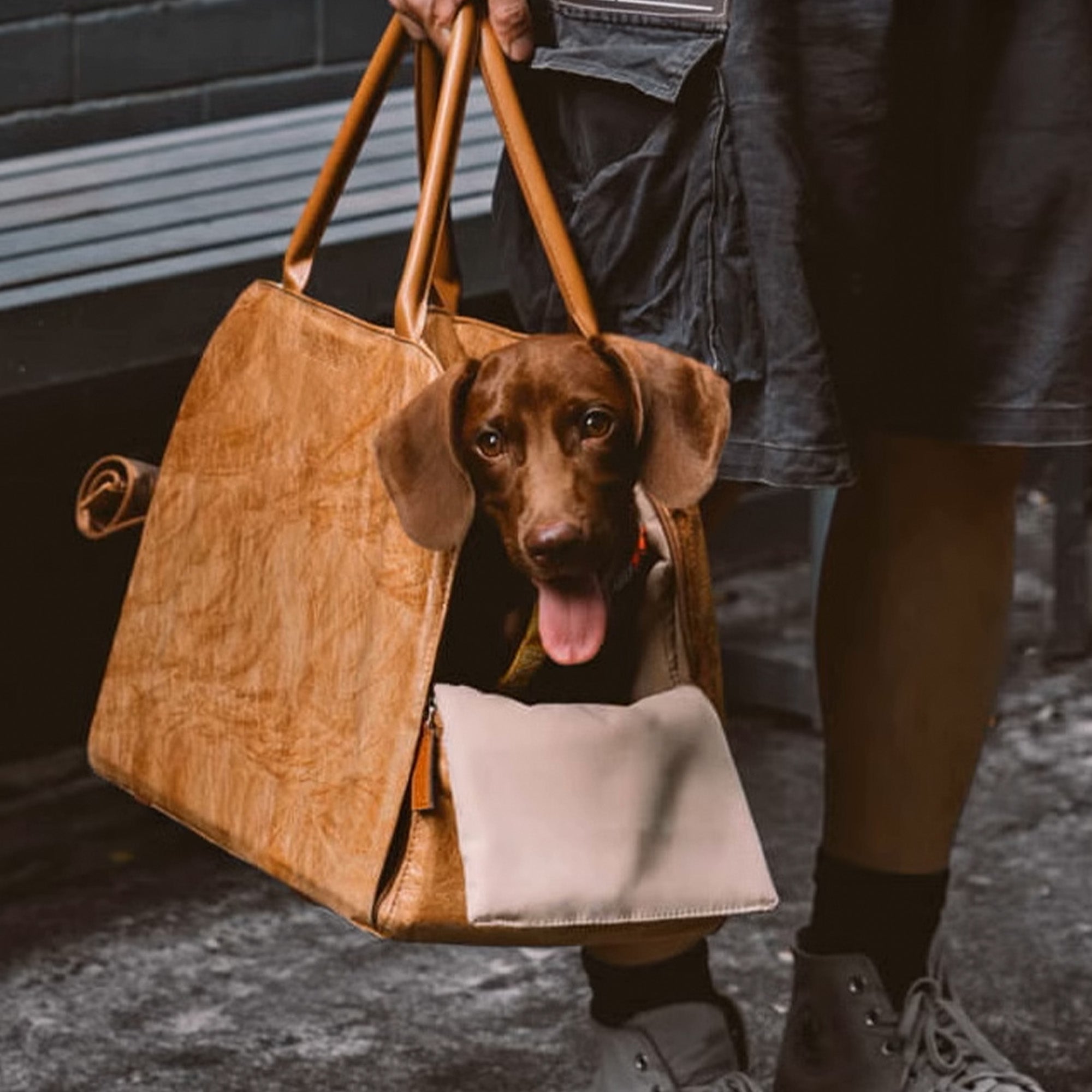 Portable Pet Travel Bag – Lightweight, Breathable & Secure for Small Pets