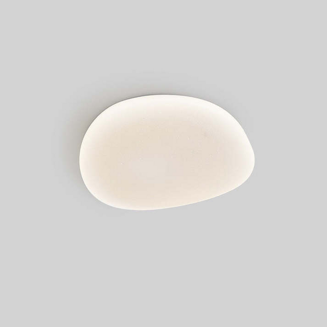 Flush Mount Ceiling Light