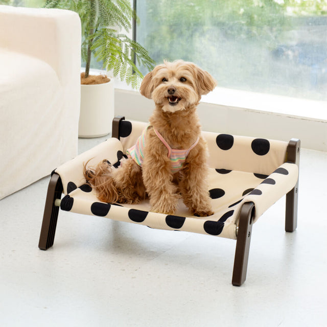 Polka Dot Frosted Suede Summer Cool Dog Bed Stylish Breathable