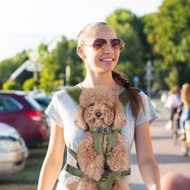 Versatile Pet Carrier Backpack – Secure, Breathable & Waterproof