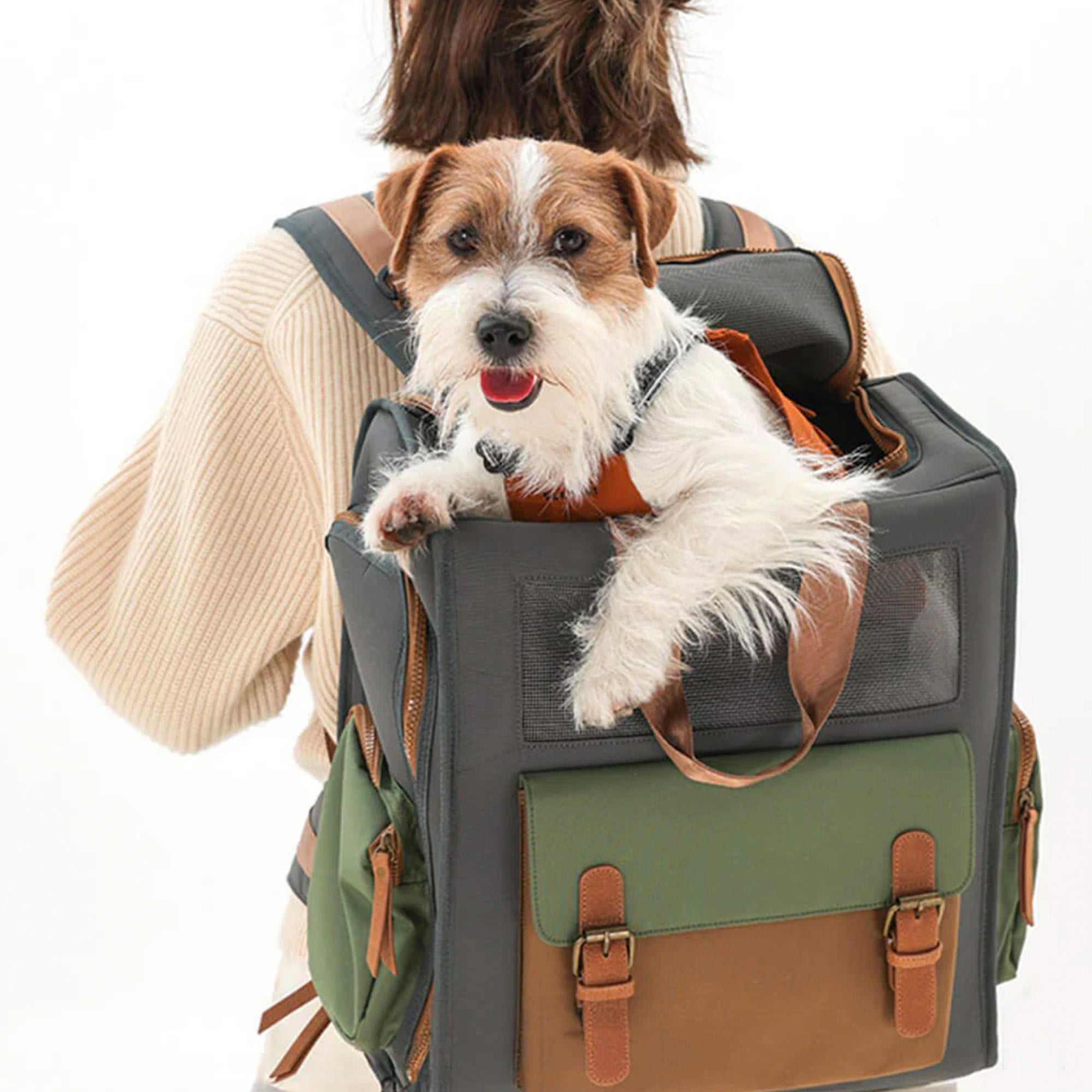 Waterproof Travel Pet Carrier – Breathable, Durable & Comfortable