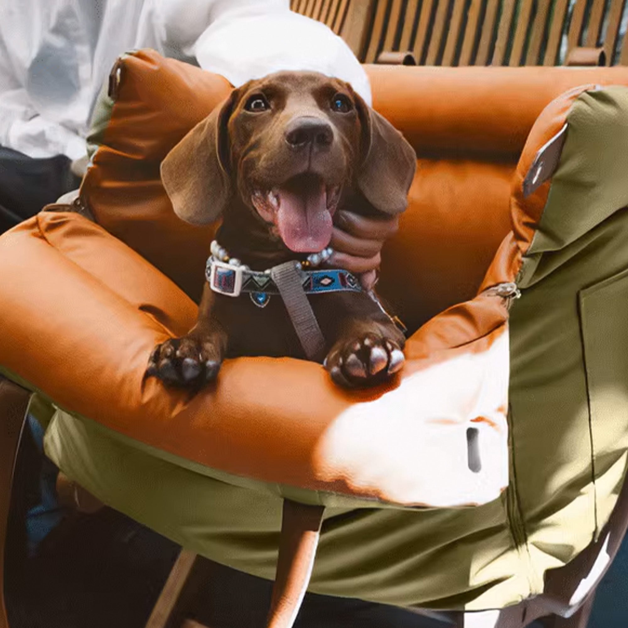 Faux Leather Dog Booster Bed – Stylish, Secure, and Comfortable