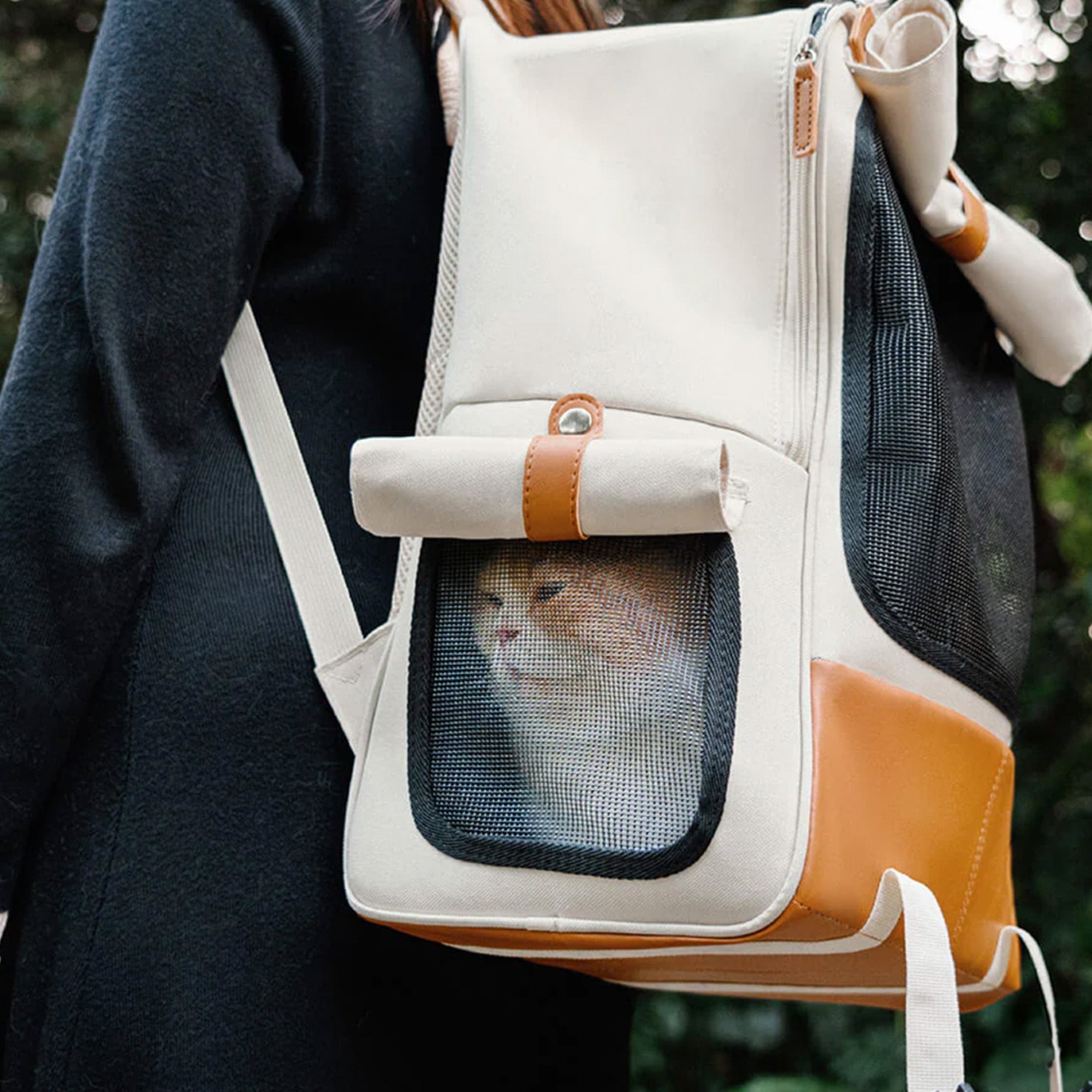 Breathable Cat Backpack – Foldable, Secure, and Travel-Ready