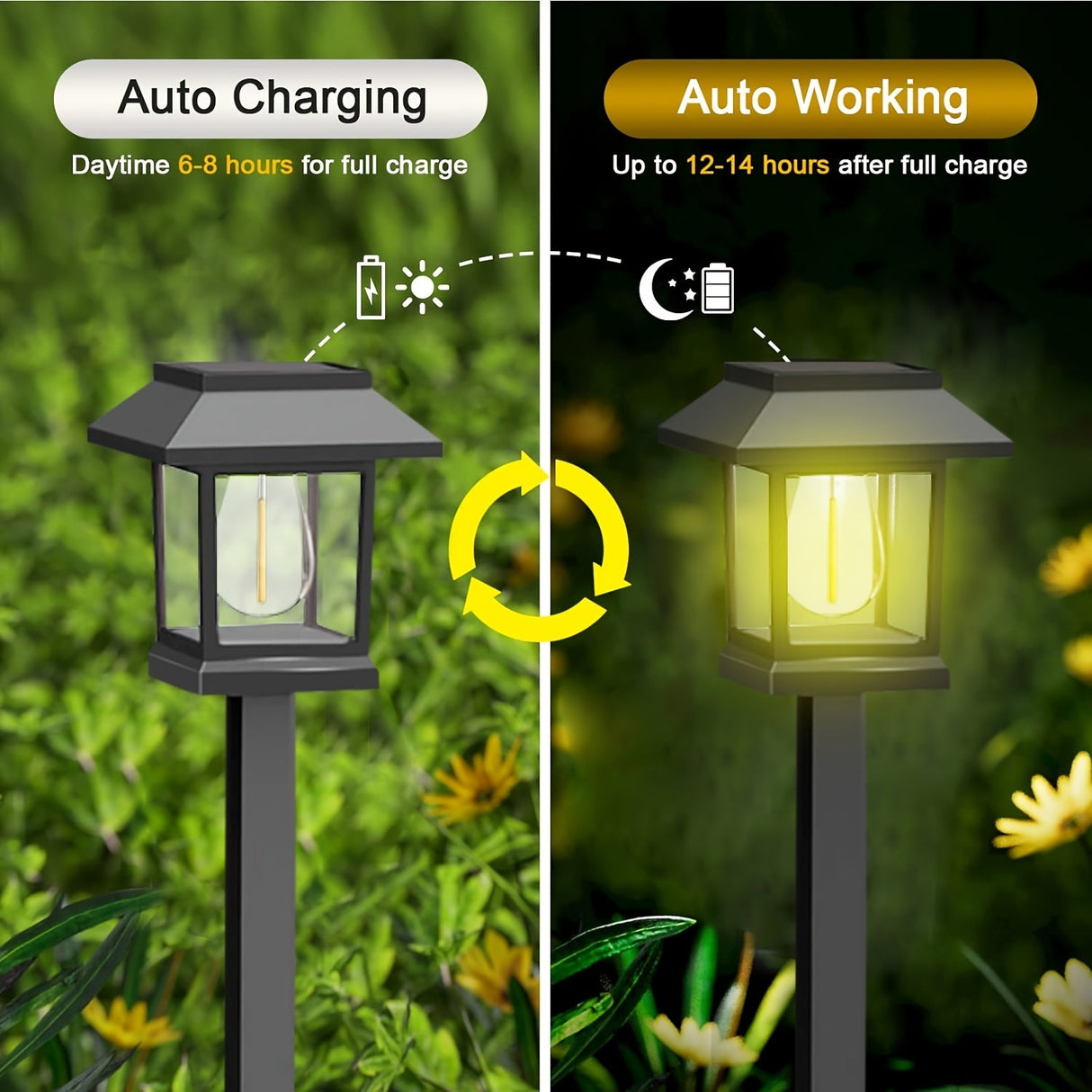 Solar Garden Stake Lights