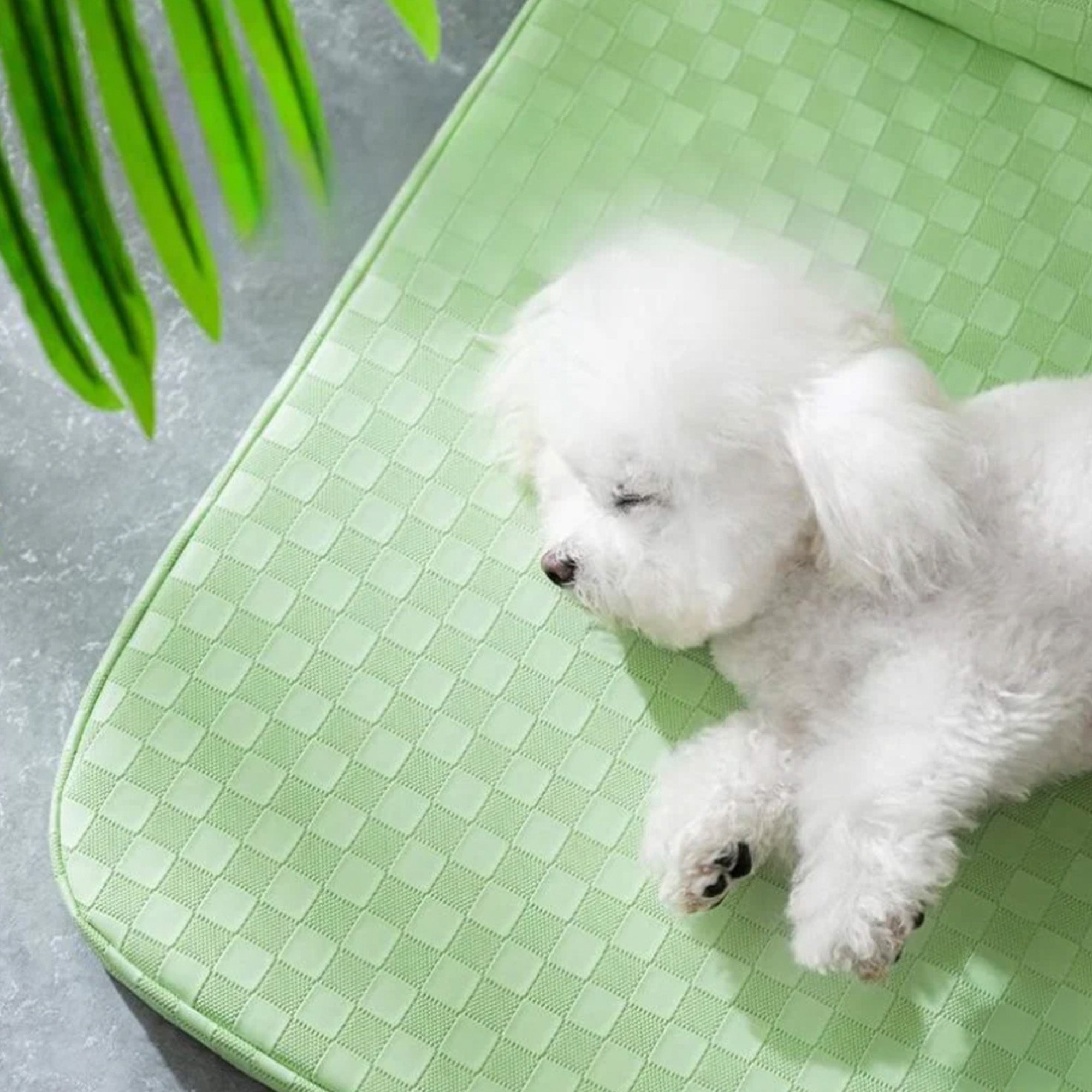 Checkerboard Leather Pet Bed Orthopedic Scratch Resistant Washable