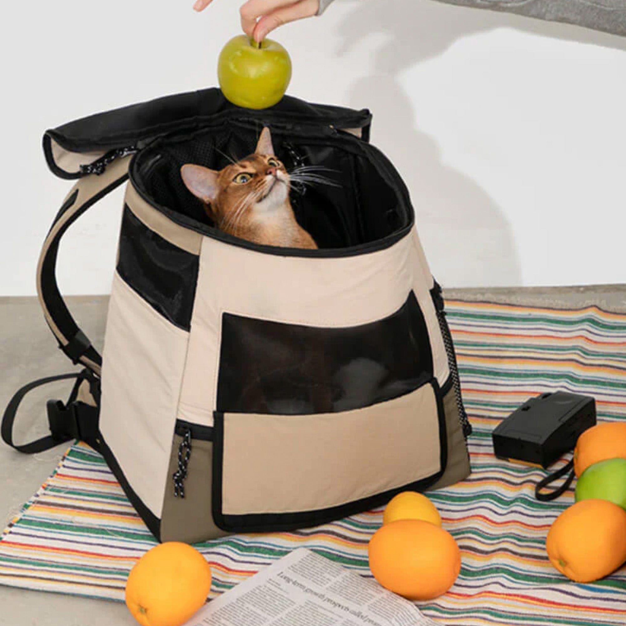 Waterproof Pet Travel Backpack – Breathable, Secure, and Comfortable