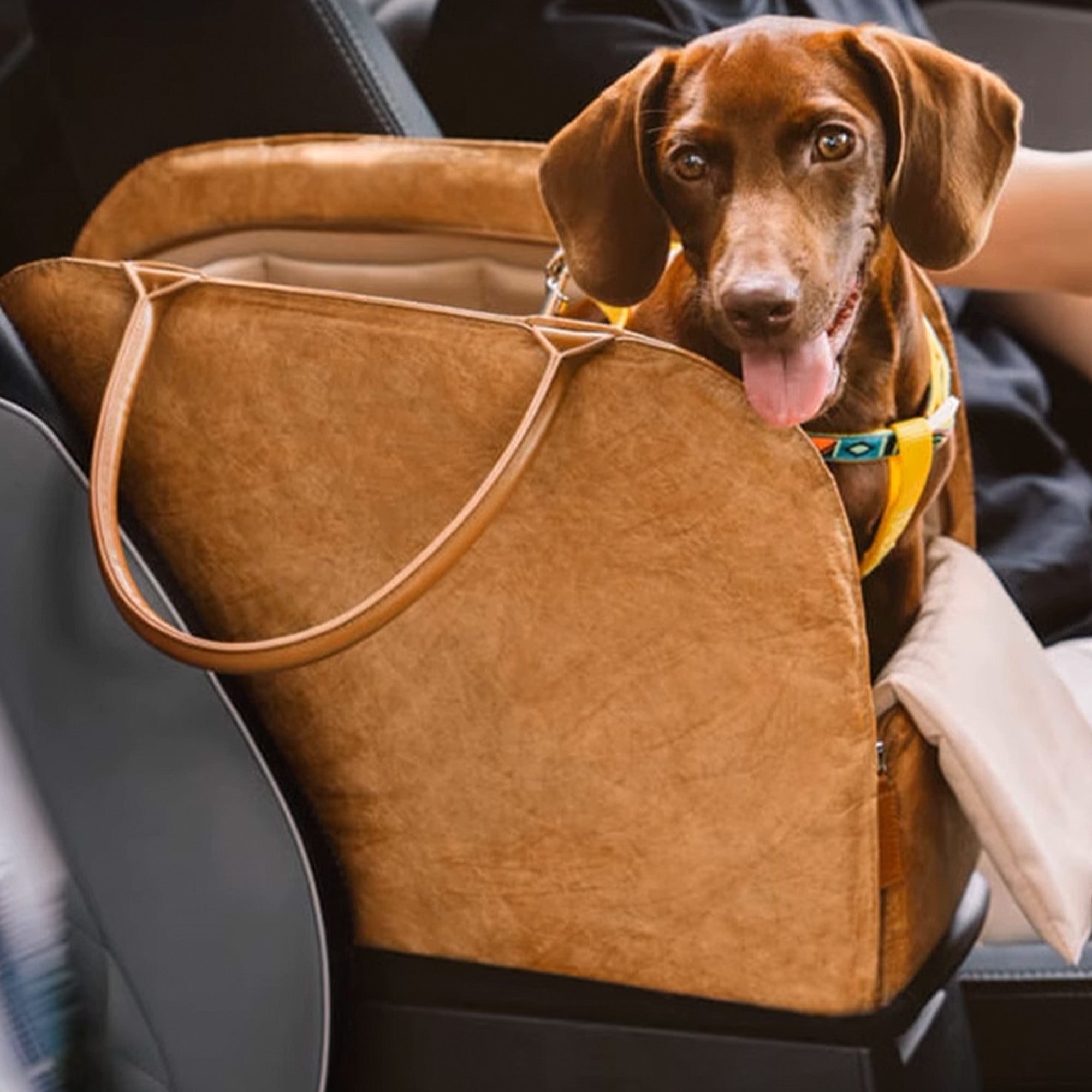 Portable Pet Travel Bag – Lightweight, Breathable & Secure for Small Pets