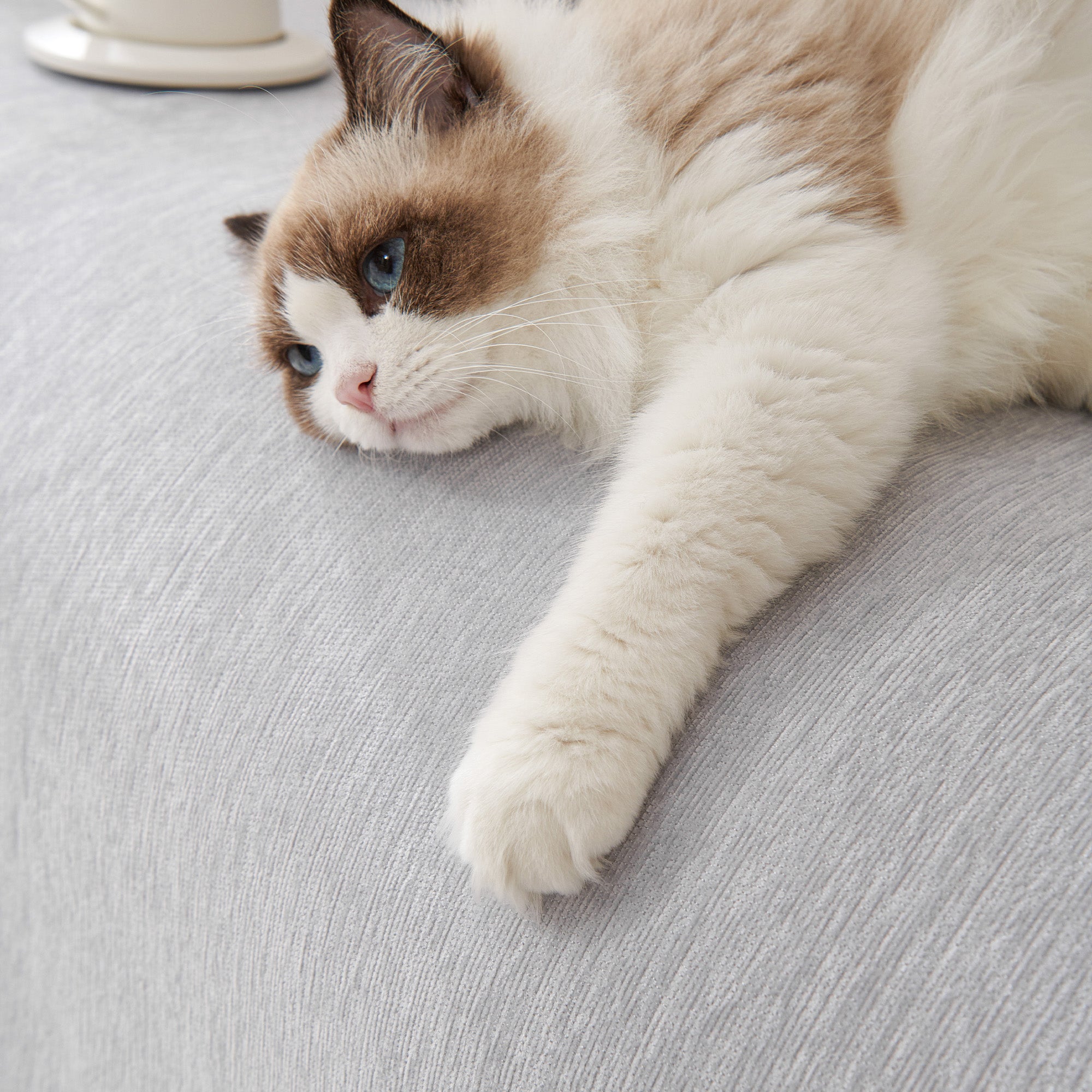 Pure Embrace Sofa Cover - Modern, Stylish & Durable Sofa Protection