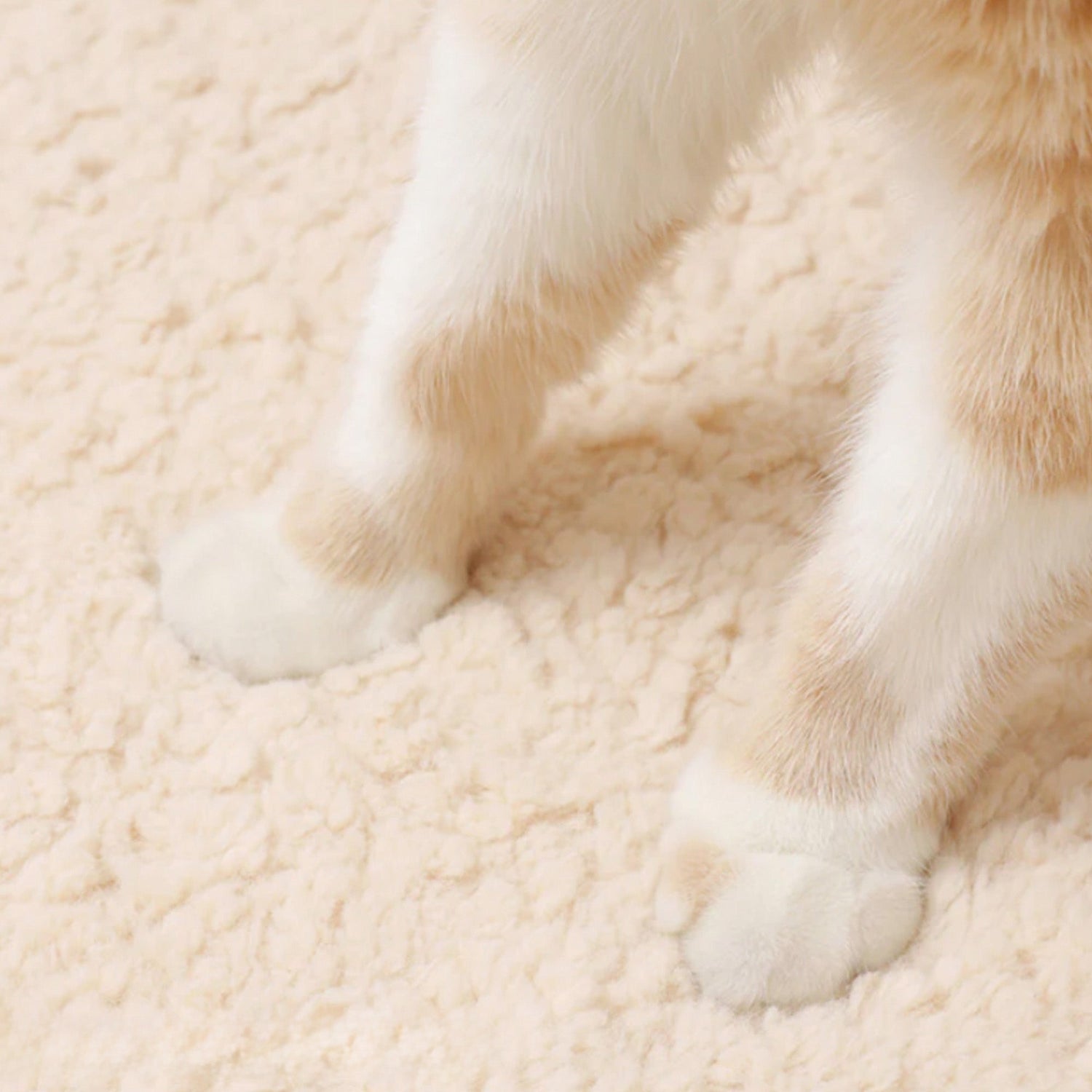 Cozy Warm Round Pet Bed Plush Orthopedic Non-Slip Design