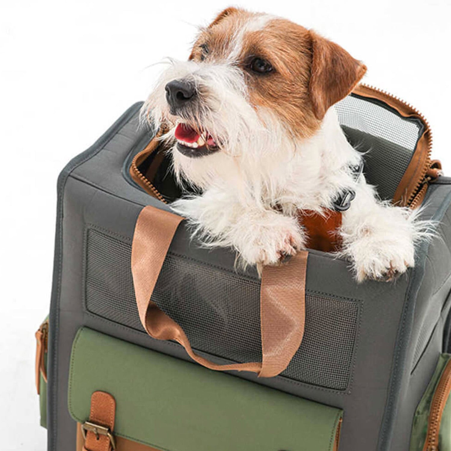 Waterproof Travel Pet Carrier – Breathable, Durable & Comfortable