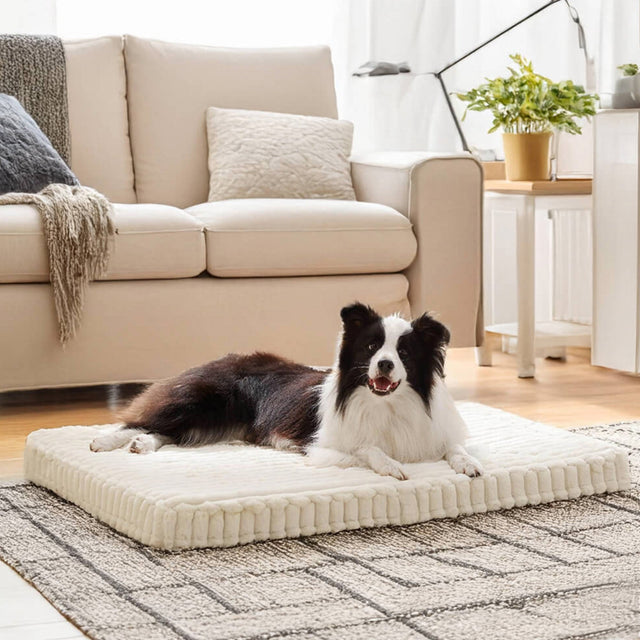 Faux Rabbit Fur Orthopedic Pet Bed Ultra Soft Warm Supportive