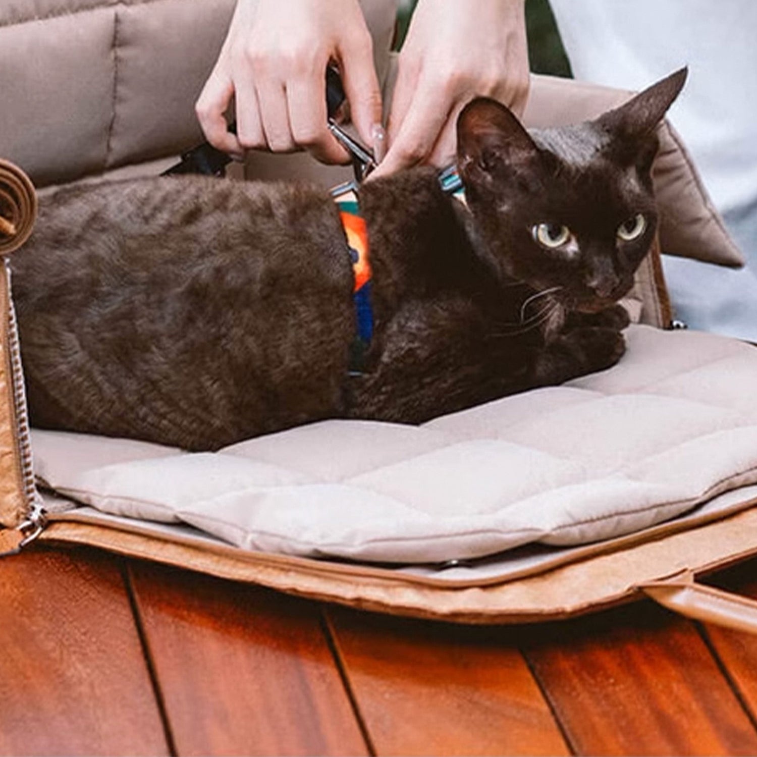 Portable Pet Travel Bag – Lightweight, Breathable & Secure for Small Pets