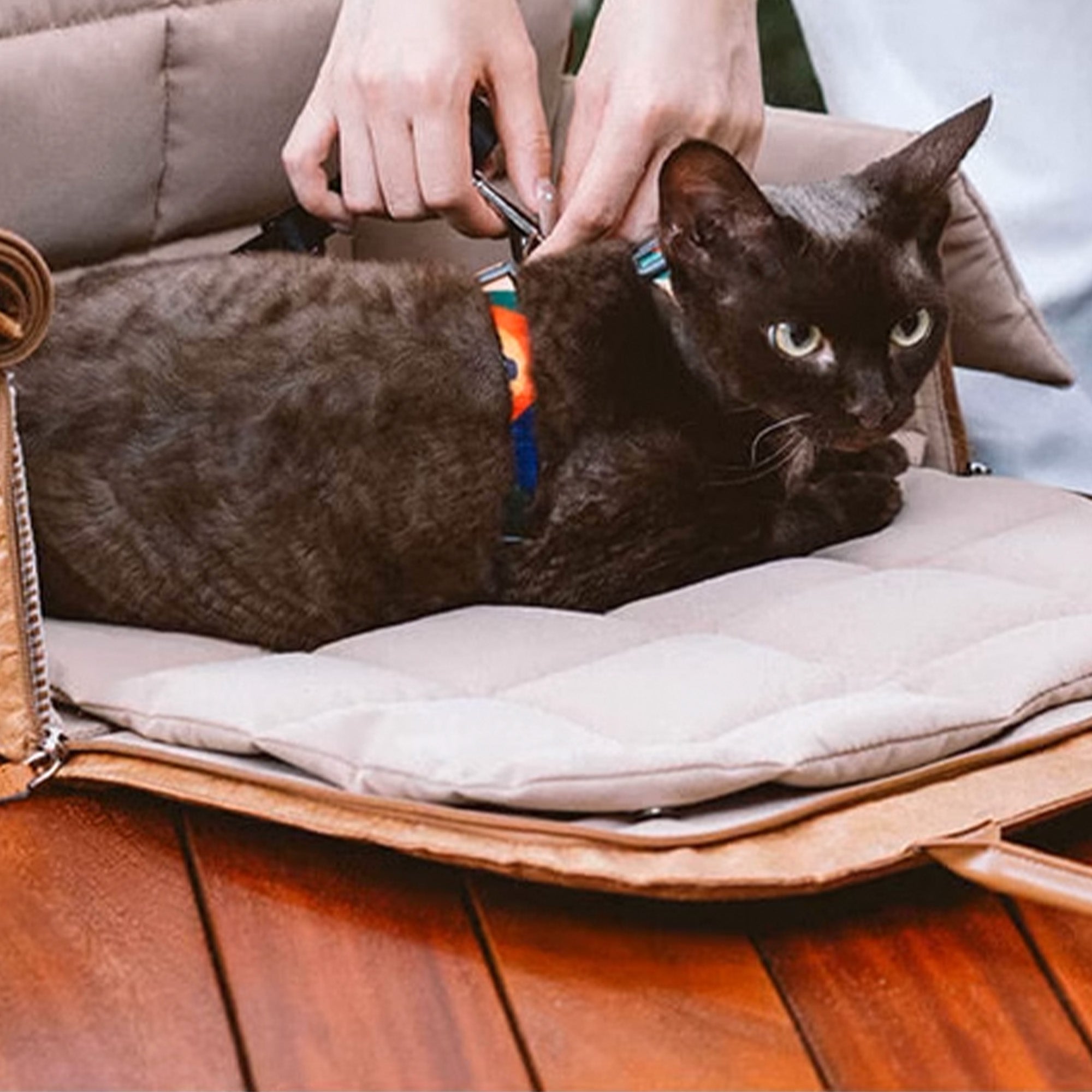 Portable Pet Travel Bag – Lightweight, Breathable & Secure for Small Pets