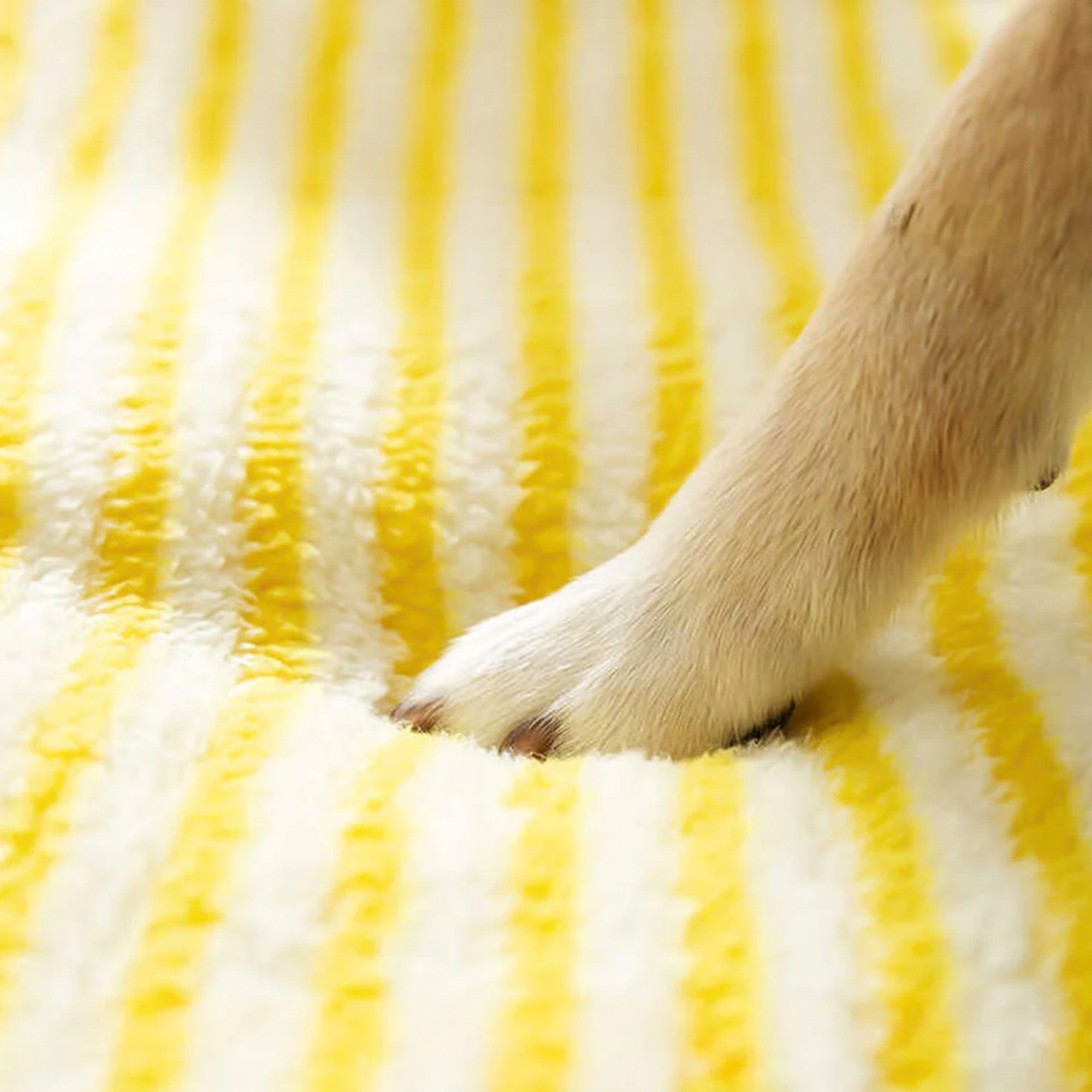 Orthopedic Dog Sofa Bed Large Supportive Washable Comfort