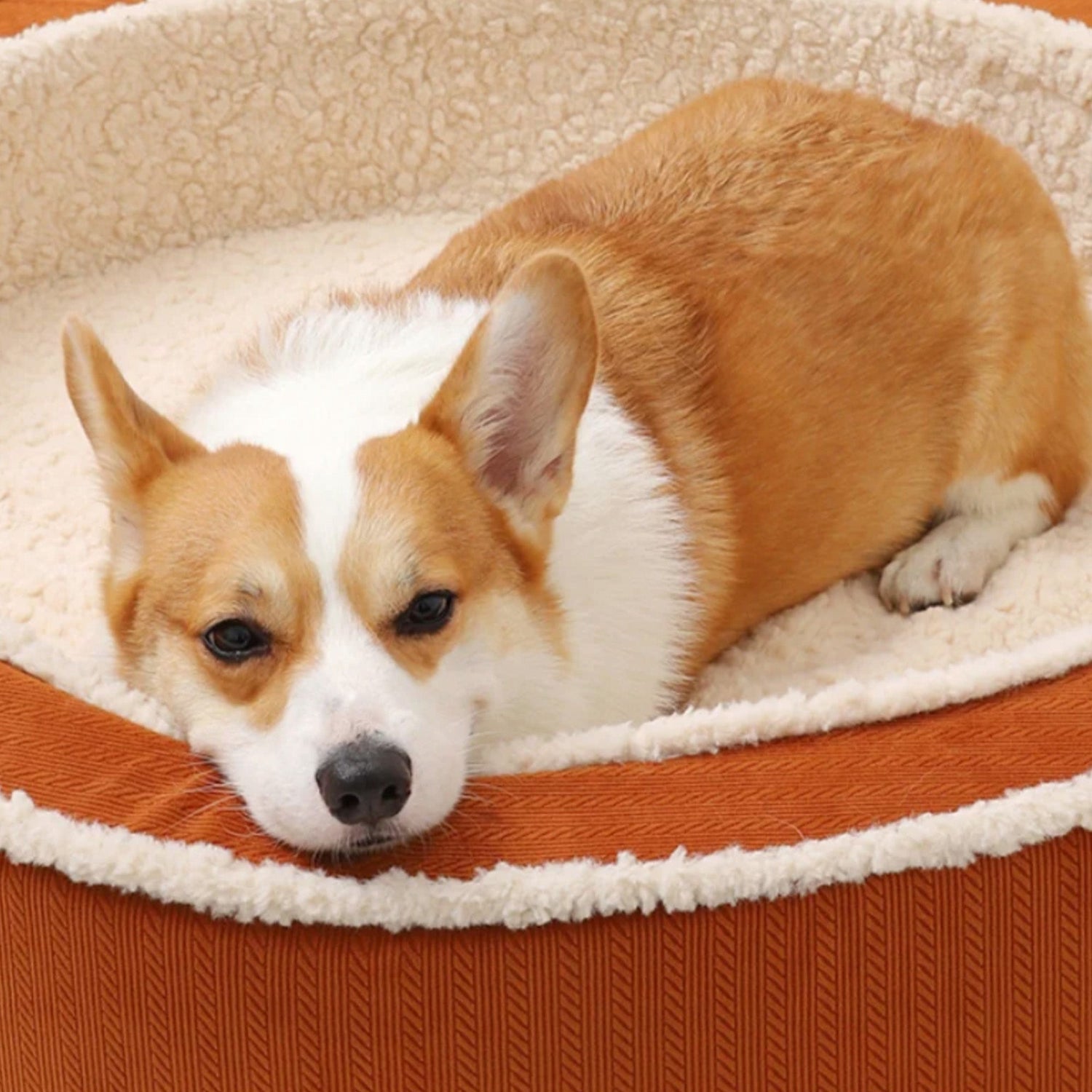 Cozy Warm Round Pet Bed Plush Orthopedic Non-Slip Design