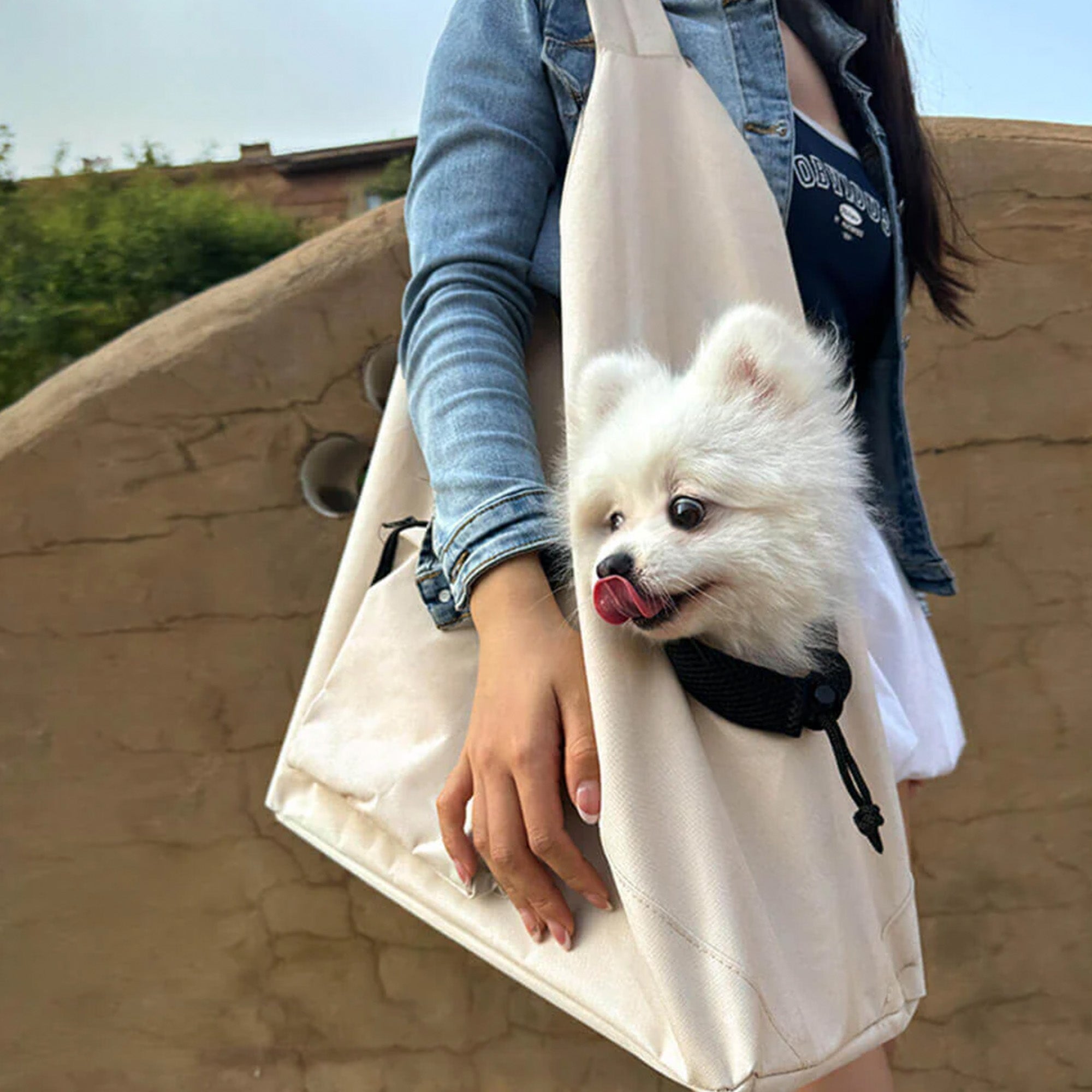 Lightweight Pet Travel Backpack – Breathable, Secure, and Versatile