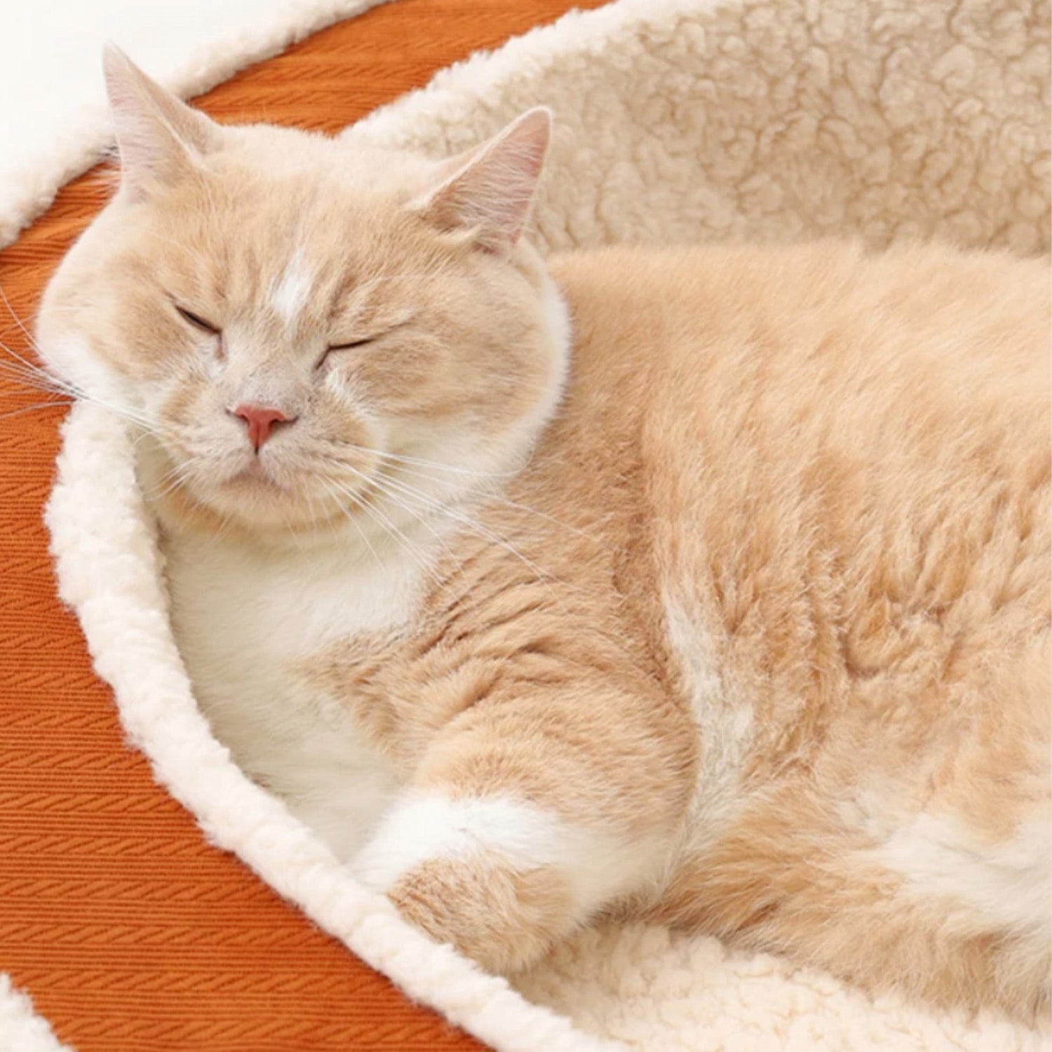 Cozy Warm Round Pet Bed Plush Orthopedic Non-Slip Design