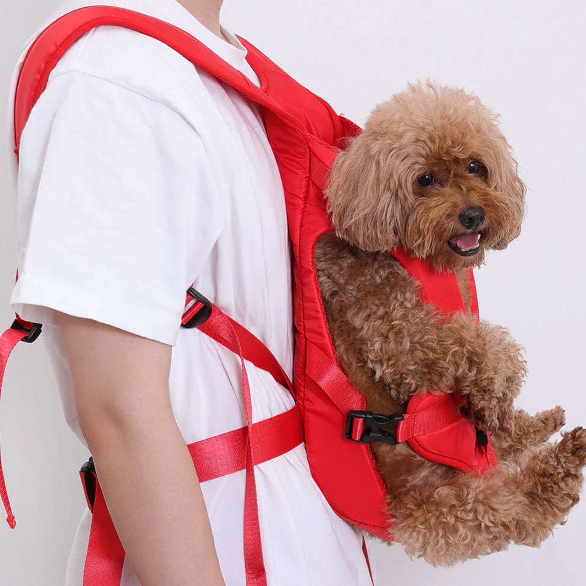 Versatile Pet Carrier Backpack – Secure, Breathable & Waterproof