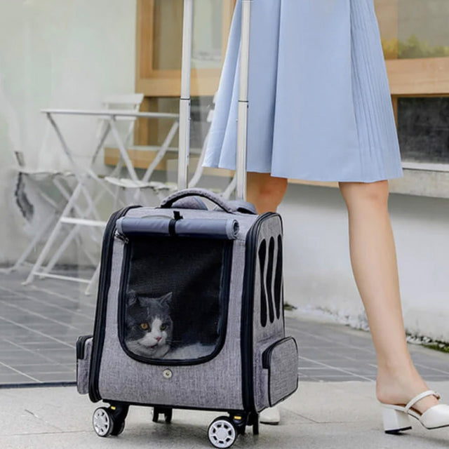 Pet Travel Trolley Case – Foldable, Breathable, and Easy to Carry