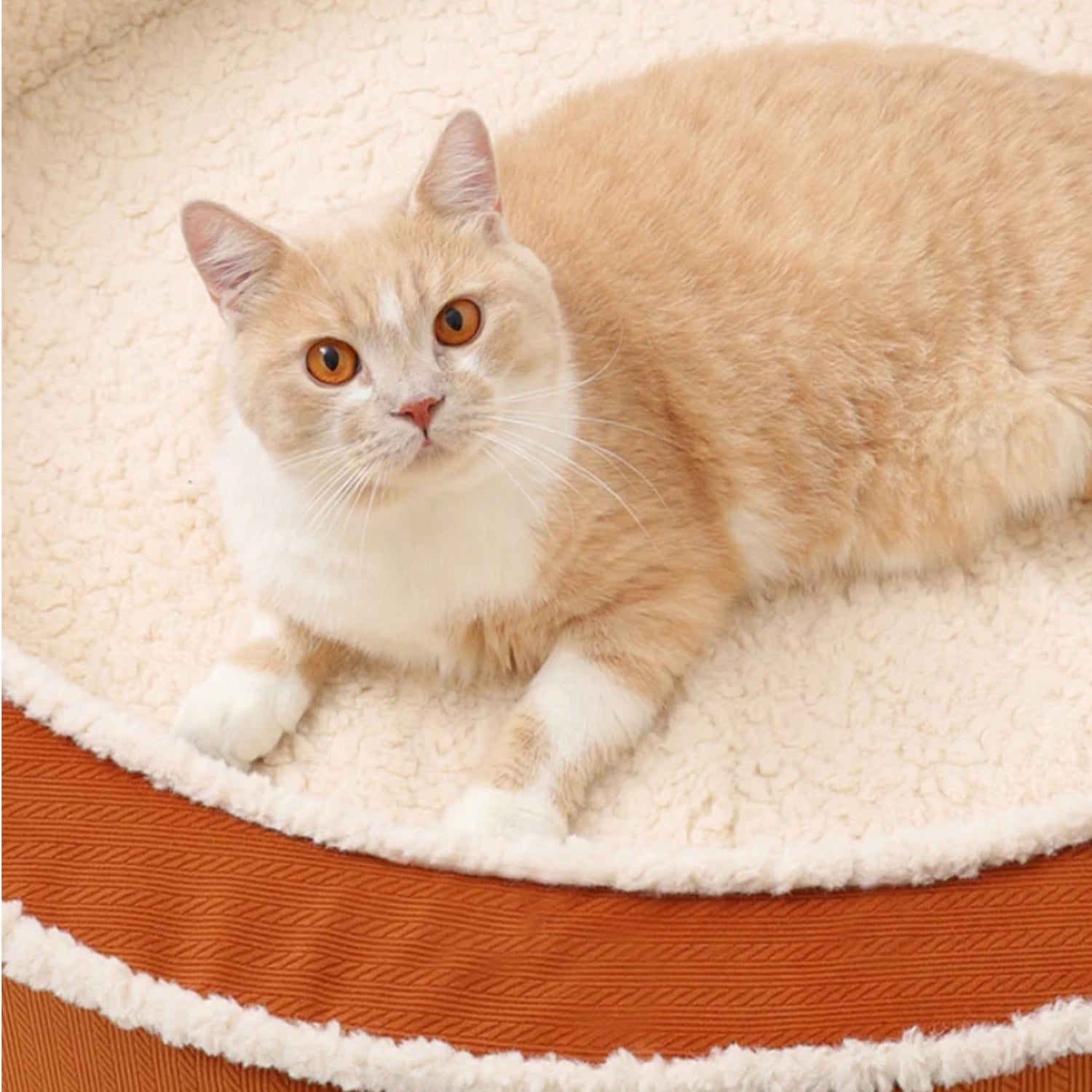 Cozy Warm Round Pet Bed Plush Orthopedic Non-Slip Design