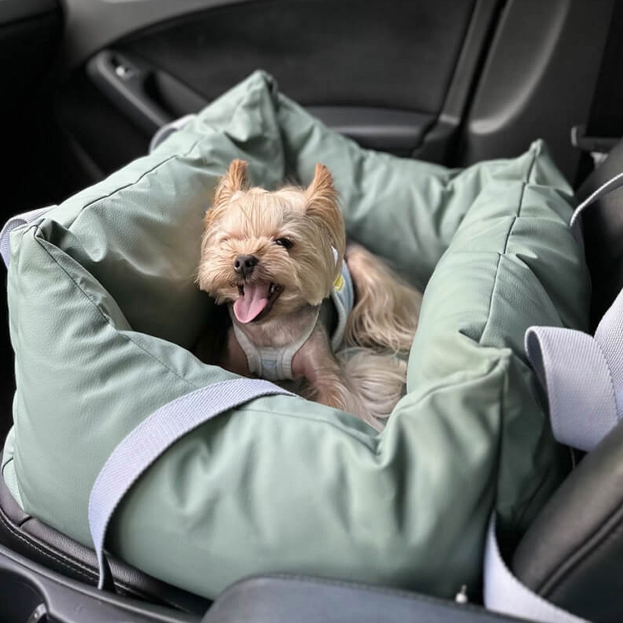 Waterproof Dog Car Seat – Secure, Spacious, and Travel-Friendly