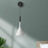 Bedside pendant wall lights-1