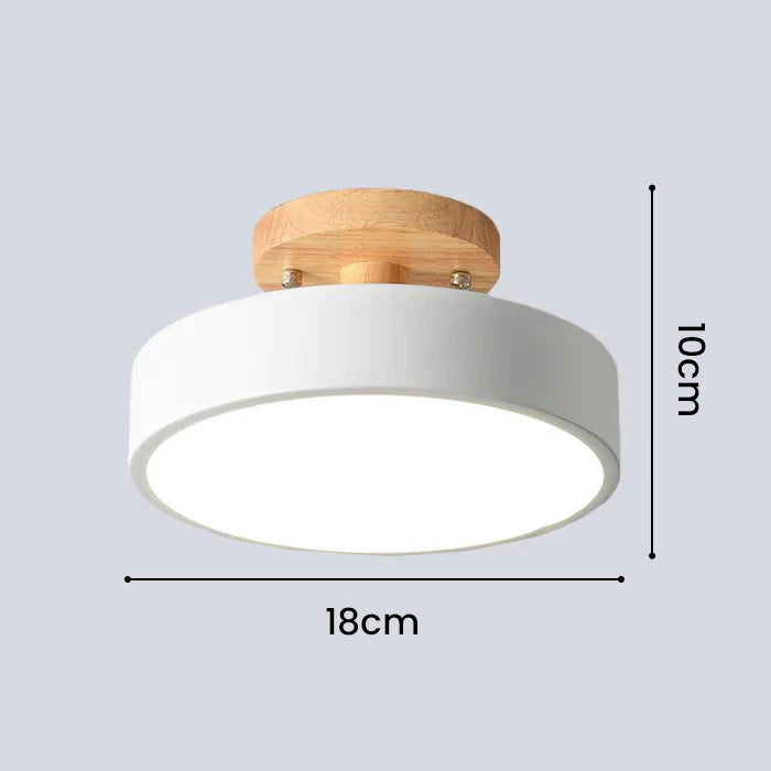 Colorful Semi-flush LED Ceiling Lights 4