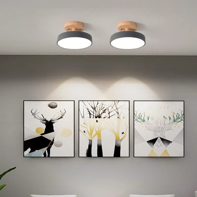 Colorful Semi-flush LED Ceiling Lights 8