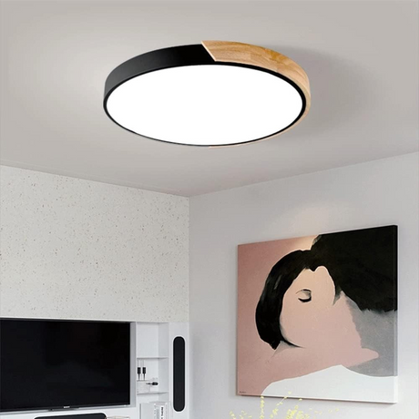 Colorful Simple LED Round Ceiling Lights 4