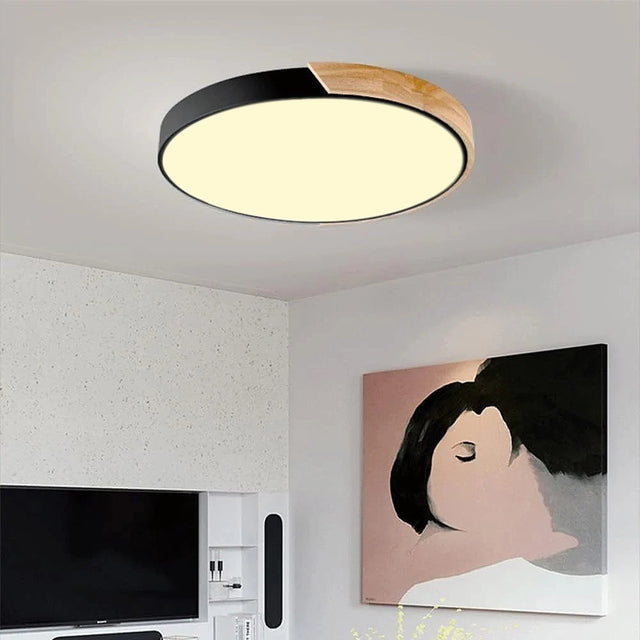 Colorful Simple LED Round Ceiling Lights 5