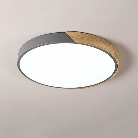 Colorful Simple LED Round Ceiling Lights 7