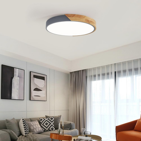 Colorful Simple LED Round Ceiling Lights 8