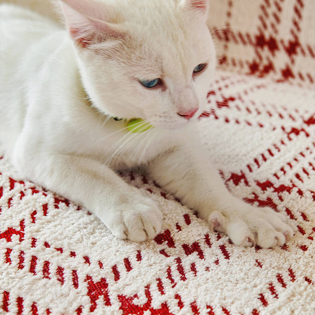 Classic Plaid Reversible Anti-Scratch Couch Cover Plush