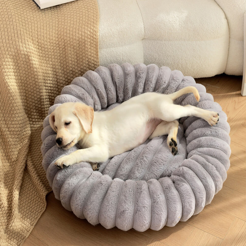 Ultra-Soft Donut Pet Bed Cozy Supportive Plush Design