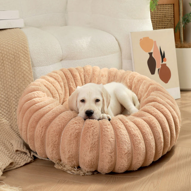 Ultra-Soft Donut Pet Bed Cozy Supportive Plush Design