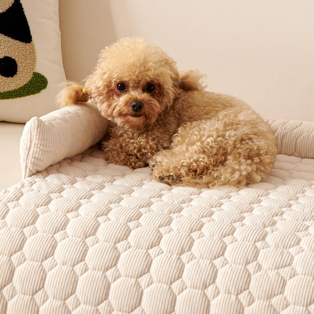 Ultra-Soft Pearl Fleece Dog Mat Quilted Washable Non-Slip