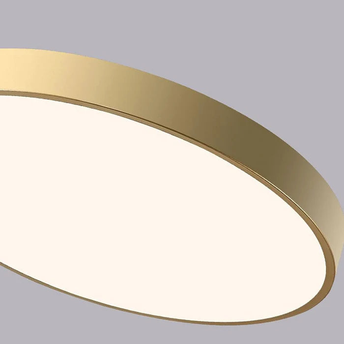 Ultra-Thin Gold LED Ceiling Light, Modern Round Flush Mount