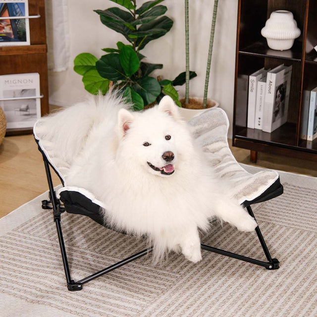 Portable Elevated Pet Bed Foldable Breathable Polyester for Indoor Outdoor Use