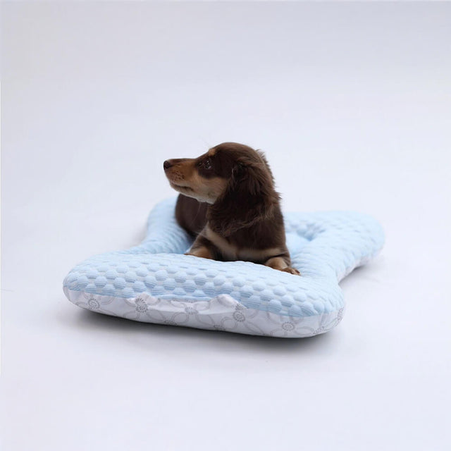 Lightweight Cooling Dog Bed with Breathable Design and Support