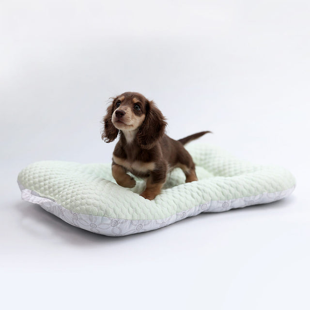 Lightweight Cooling Dog Bed with Breathable Design and Support