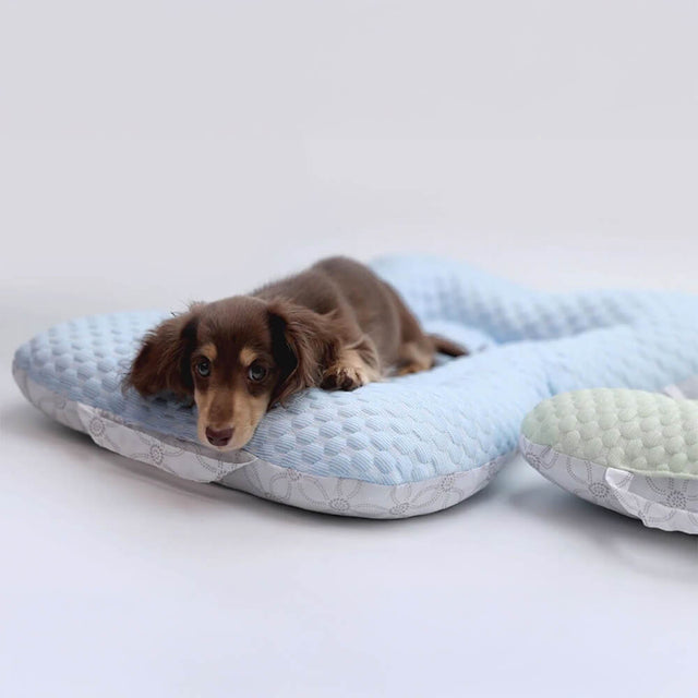 Lightweight Cooling Dog Bed with Breathable Design and Support