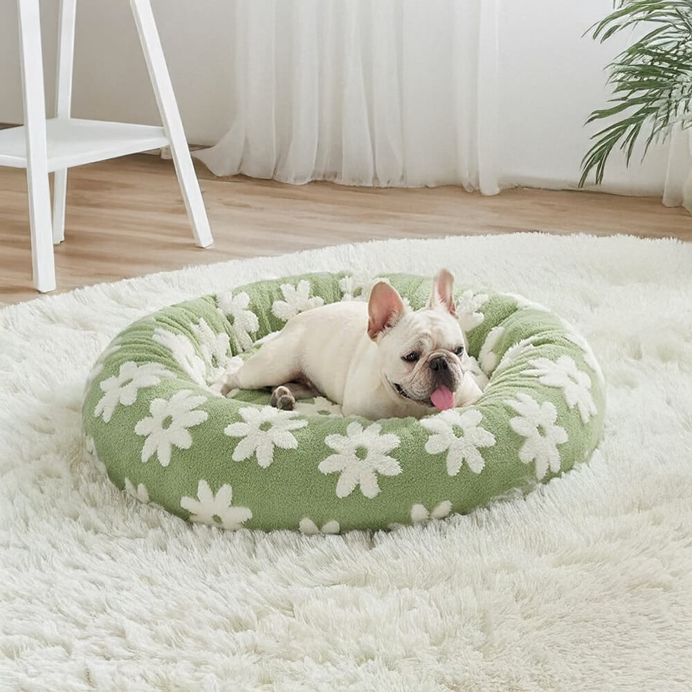 Pet Beds & Cushions
