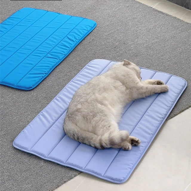 Durable Waterproof Pet Mat Extra Large Non-Slip Easy to Clean