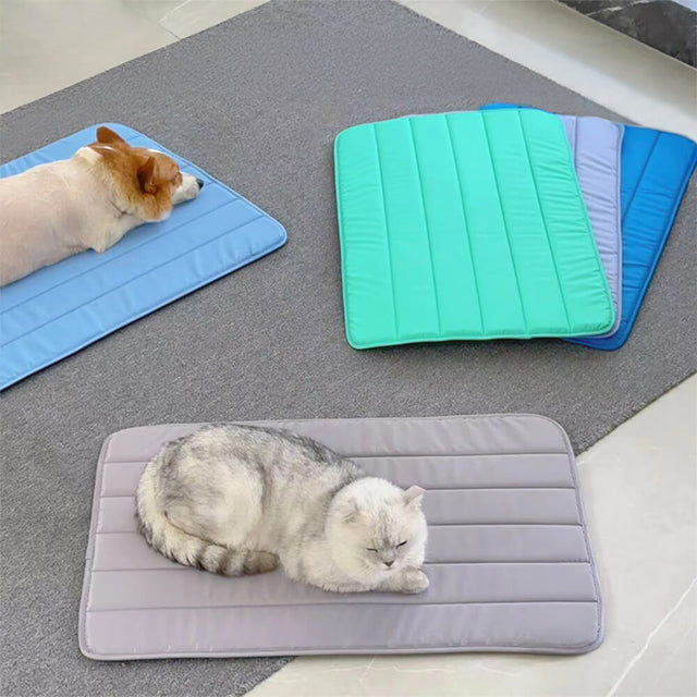 Durable Waterproof Pet Mat Extra Large Non-Slip Easy to Clean