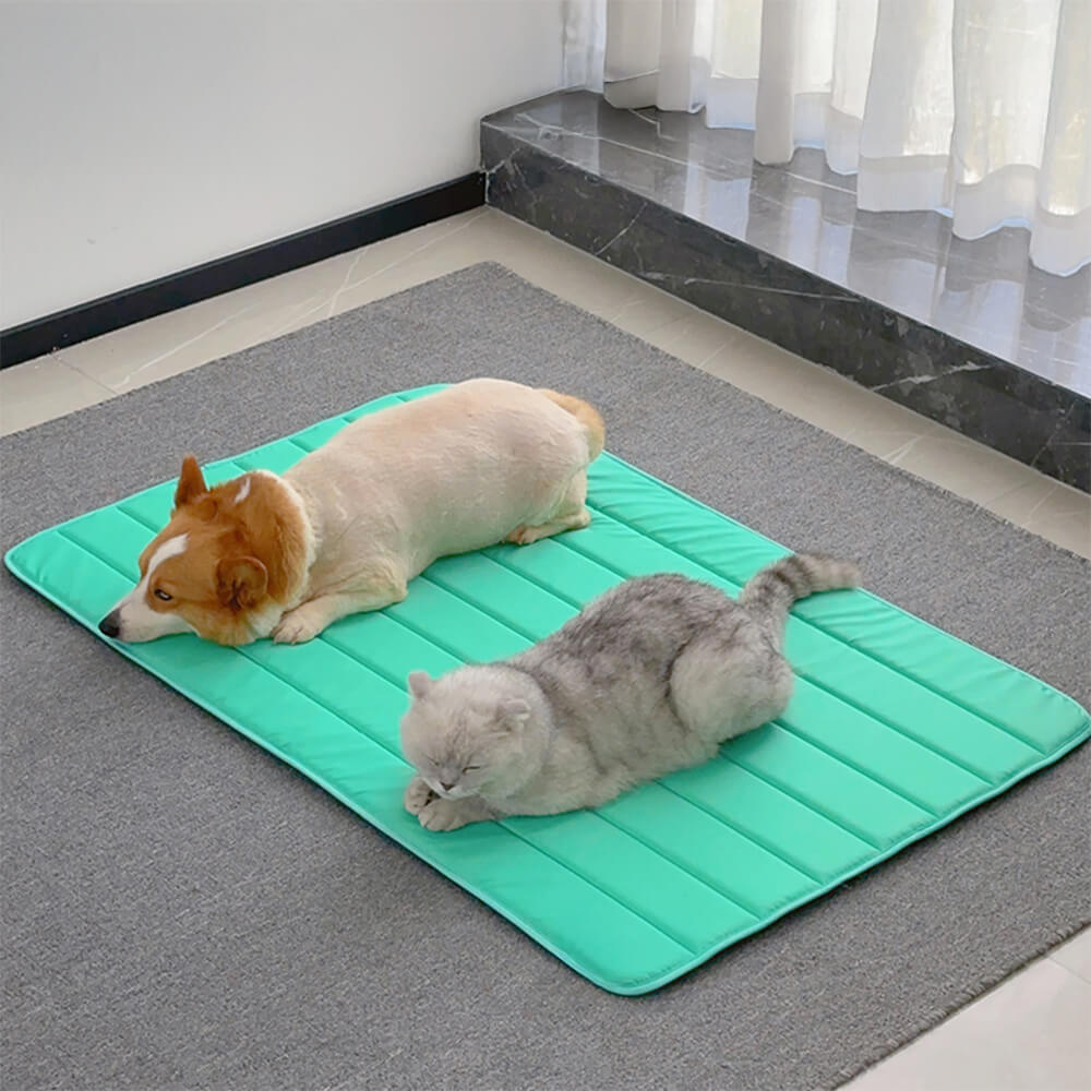 Durable Waterproof Pet Mat Extra Large Non-Slip Easy to Clean