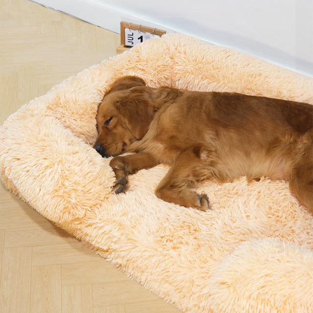 Plush Dog Bed Soft Supportive Easy to Clean Waterproof
