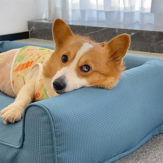 Waterproof Orthopedic Pet Bed Breathable Easy to Clean Non Slip