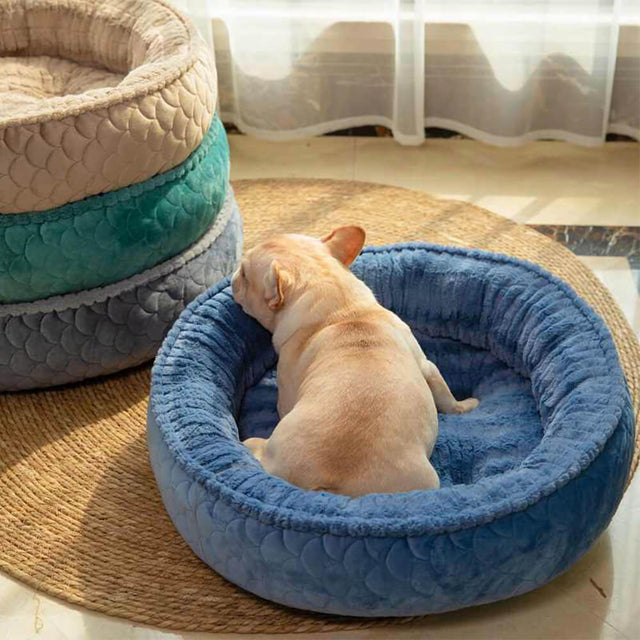 Plush Orthopedic Winter Pet Bed Soft Supportive Cozy Design