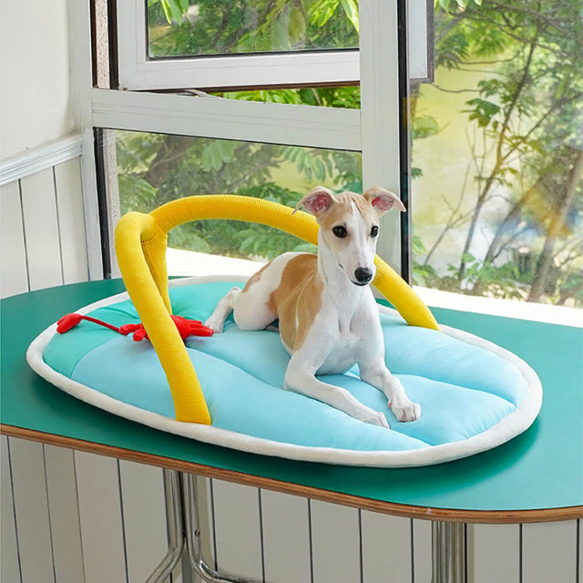 Summer-Themed Pet Bed Playful Comfortable Sandal Design